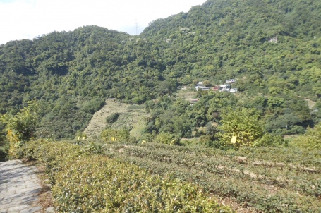 2021/10/9（六）～臺北大縱走第七段指南茶香步道