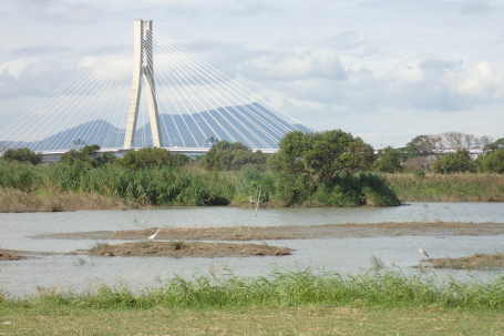 2022/9-10月 來公園遊戲學生態 ~ 生物多樣性在哪裡？