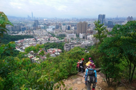 環教主題及經驗分享