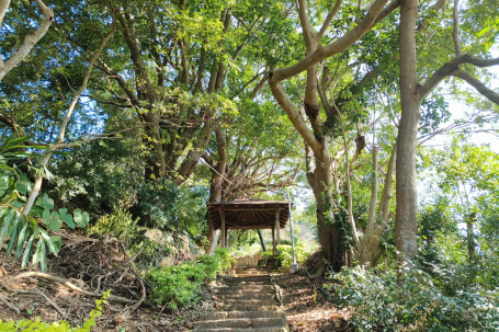 5月24日(六) 北投郵政訓練所步道