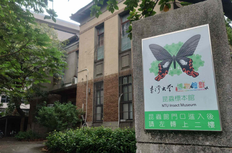 113年玩出蜂采講座