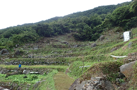 「水圳、梯田多樣性保育」