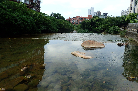 「戀戀八仙圳~守護關渡平原的水源頭」百人健行活動