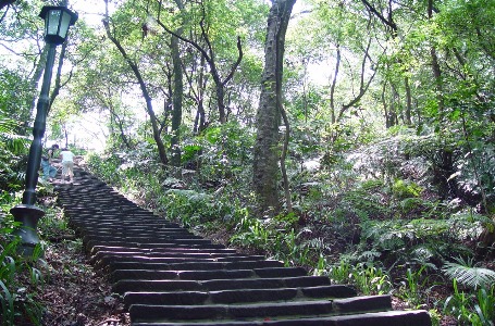 漫步圓通寺聽樹林在說故事