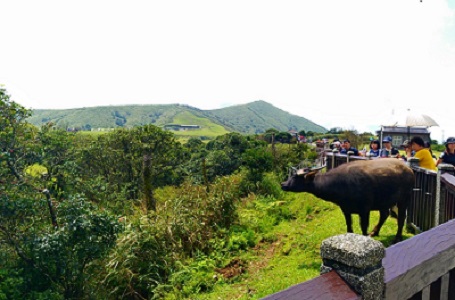 北三段之冷水坑到風櫃嘴