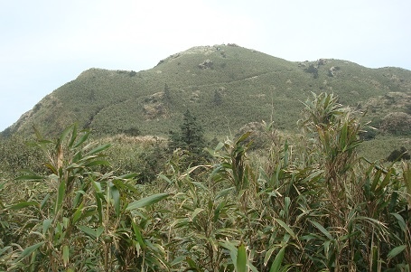 小油坑、七星山、冷水坑