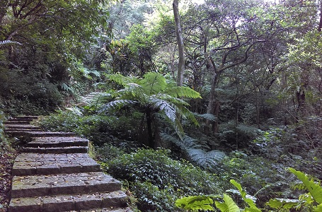 南港山縱走步道、拇指山妙台稜徑