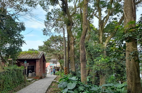 臺北大縱走 你所不知道的貓空~樟樹步道側記