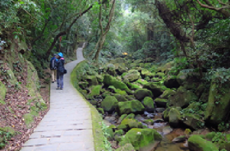 大溝溪溪畔步道、圓覺寺步道